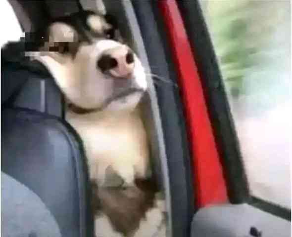 Me begging my kidnapper to tell my Dad I was kidnapped at the school gate and not at the bar | MirrorLog